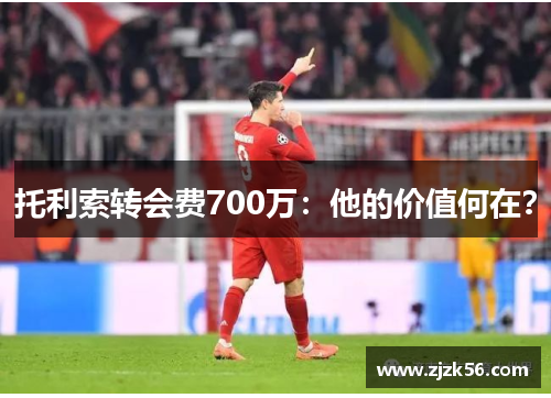 托利索转会费700万：他的价值何在？