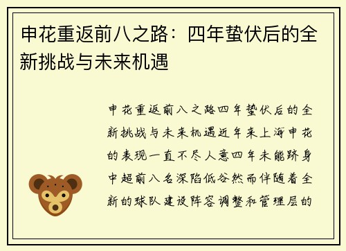 申花重返前八之路：四年蛰伏后的全新挑战与未来机遇
